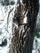 11.27.05 Nesmith Point 099 